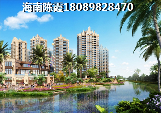 南寻是什么意思