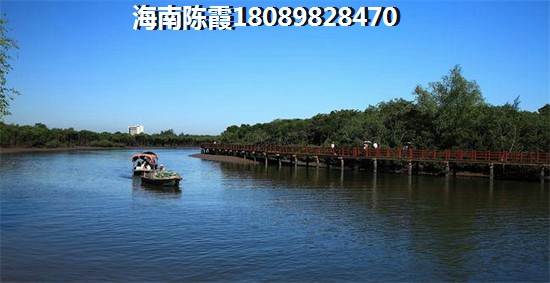 业主上诉物业的上诉书怎么写