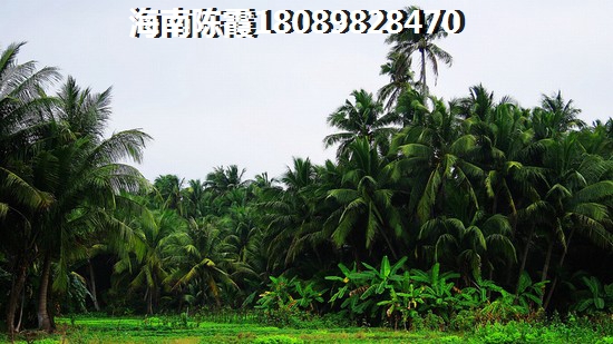 姓陈帅气的名字