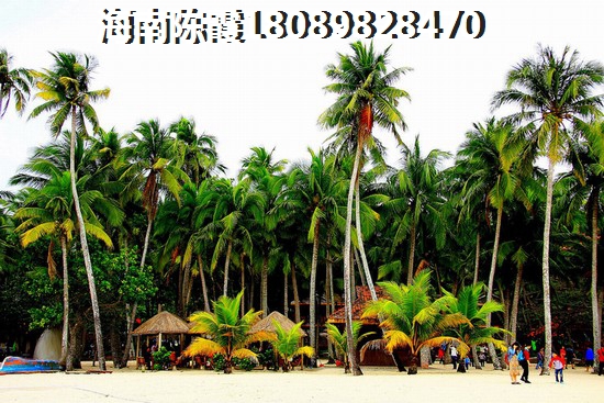 开端开头的歌叫什么名字