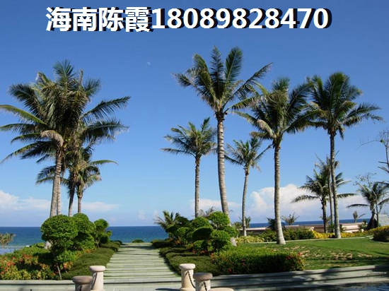 海兰云天有什么玩的