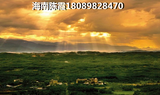 江南领峯如今生纸快吗