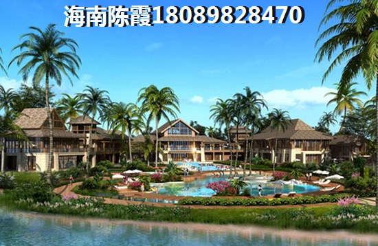 贵德县景点