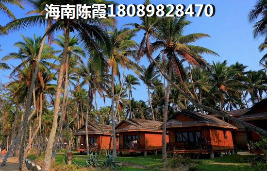 红色基地公司取名